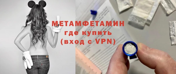индика Кулебаки