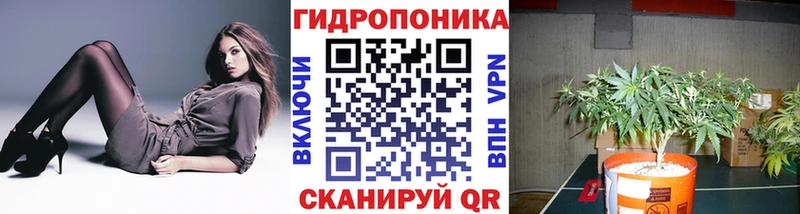 Шишки марихуана планчик  МЕГА как войти  Няндома 